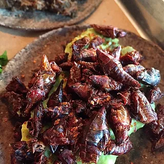 Chapulines