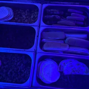 rich tacos and hot dogs