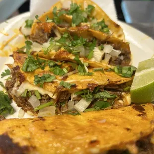 Birra tacos