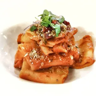 Octopus Ragu