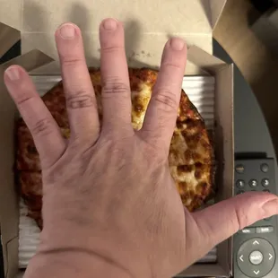Mini $10 pizza smaller than my hand
