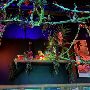 sushi and sashimi, interior