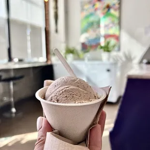 cookies &amp; coffee ice cream