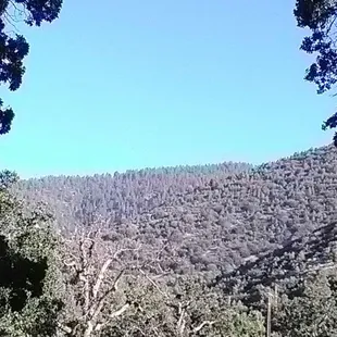 Goodvibesismy,s holly land