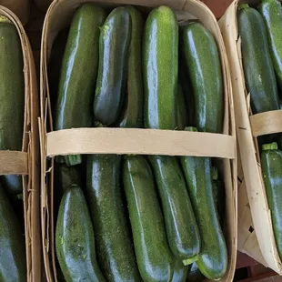 Local Zucchini