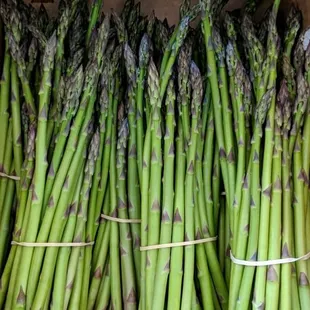 Local Asparagus
