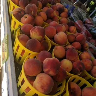 Sweet Peaches