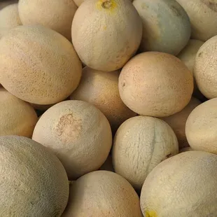 Sweet Cantaloupes