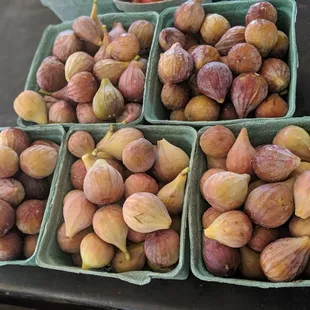 Local Figs