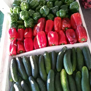 Fresh Veggies