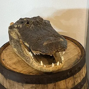 Grrrrr have some Alligator Bites