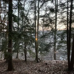 A beautiful view to go along with a delicious meal!