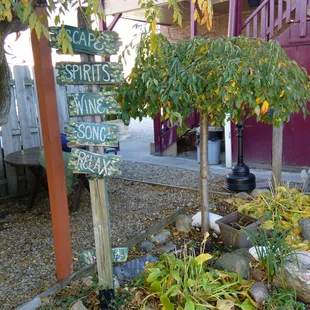 Beer garden in the back.