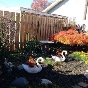 Beer garden in the back.