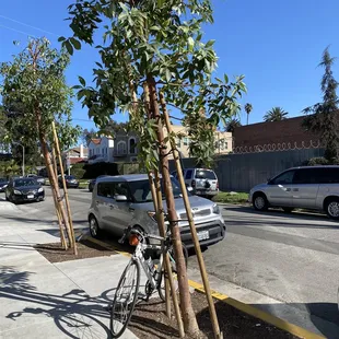 need bike racks here ! where do we leave our bikes :(