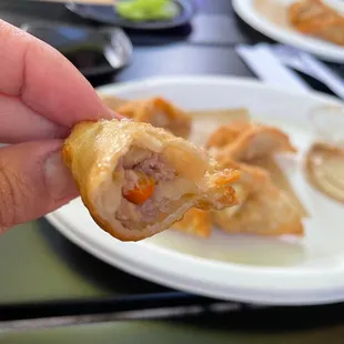Fried Gyoza: crunchy outside with a soft and juicy interior. Yum!