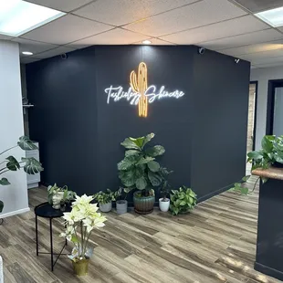 Welcome to Tashiology Skincare