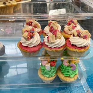 a variety of cupcakes in a display case