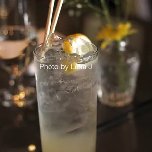 Seasonal House Shrub ($5)