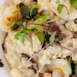 Shrimp Risotto