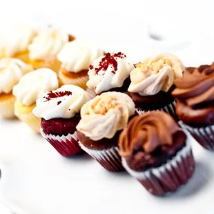 Assorted Mini Cupcakes by Taste of Amazing Catering