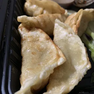 Chicken Dumplings - crispy, hot and come with amazing dipping sauce!