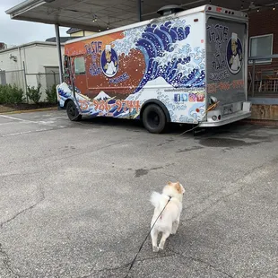 Pomeranians love taste of Asia
