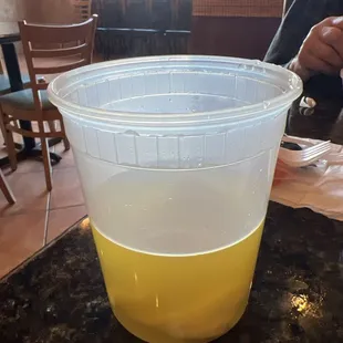 This is how they serve the 202. Wonton Soup