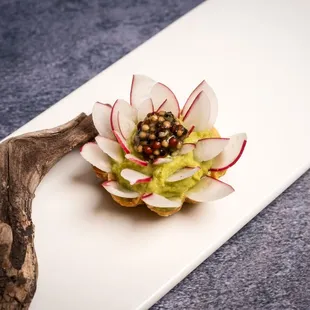 Plum Blossom