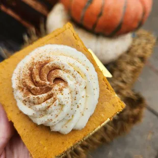 Pumpkin cheesecake