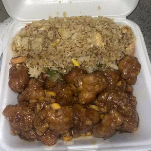 Orange Chicken and Combination Fried Rice