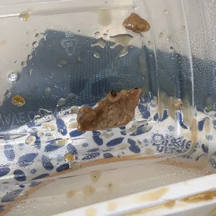 Pork or steak in my seafood delight! Disgusting