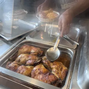 Oh. Em. Gee. The polloooooooooooooooo