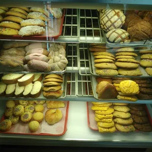 food, bagels, bagel