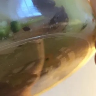 Bugs in the soup, there were more than just one species too=(((((