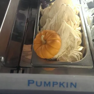 You had me at Pumpkin, Frost Gelato!
