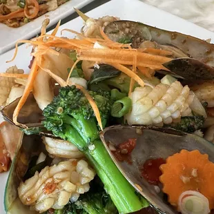 oysters and mussels, food