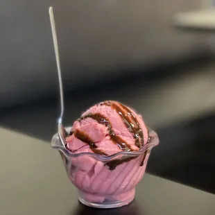 Raspberry Sorbet
