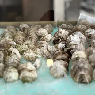 Oyster Bar featuring East Coast