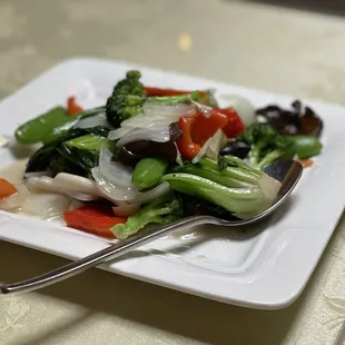 H17. Mixed Veggie