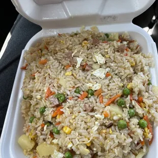 Tastea Hawaii Fried Rice Grill Special