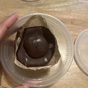 Fungus in the Chocolate Lava Cake