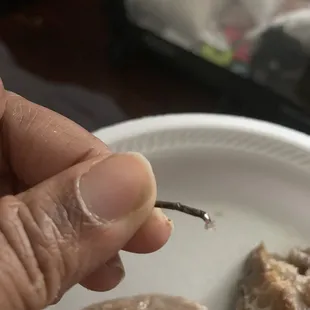 a hand holding a stick