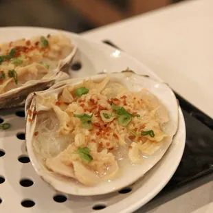 Surf clam