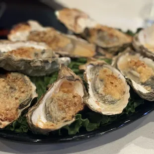 Oysters