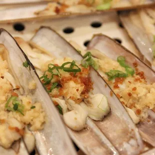Razor clam