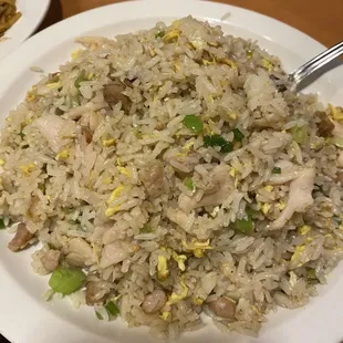 Salted fish and chicken fried rice