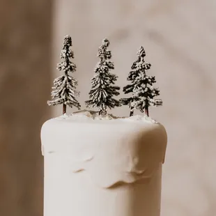 a frosted cake with trees on top