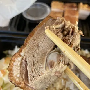 Piece of Roasted Duck