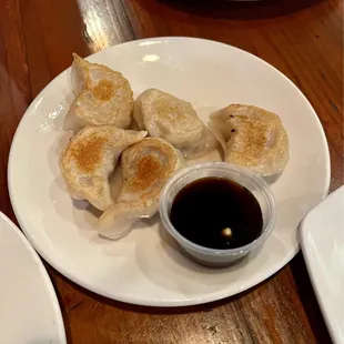 Pan Fried Dumplings